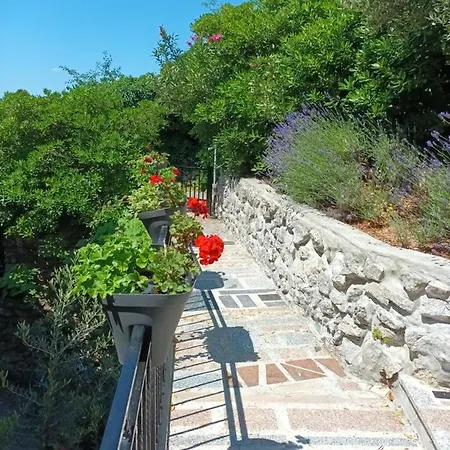 Sea & Honey * Krk Town