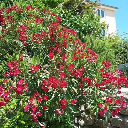 Sea & Honey * Krk Town